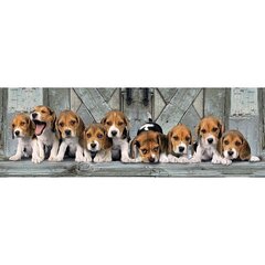 Jigsaw Clementoni Panorama Korkealaatuiset Beagles, 1000 kpl hinta ja tiedot | Palapelit | hobbyhall.fi